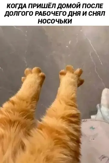 Свежая порция мемов и приколов для отличного настроения мемы, приколы, картинки, юмор, подборка, смех, настроение, веселье