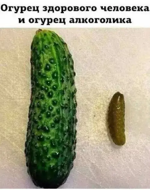 Свежая порция мемов и приколов для отличного настроения мемы, приколы, картинки, юмор, подборка, смех, настроение, веселье