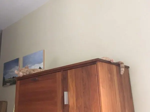 Не верь глазам своим: 17 визуальных ловушек, которые сломают шаблон оптические иллюзии, обман зрения, головоломки, фото, визуальные трюки, мозг, реальность