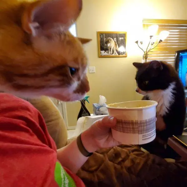 Не верь глазам своим: 17 визуальных ловушек, которые сломают шаблон оптические иллюзии, обман зрения, головоломки, фото, визуальные трюки, мозг, реальность