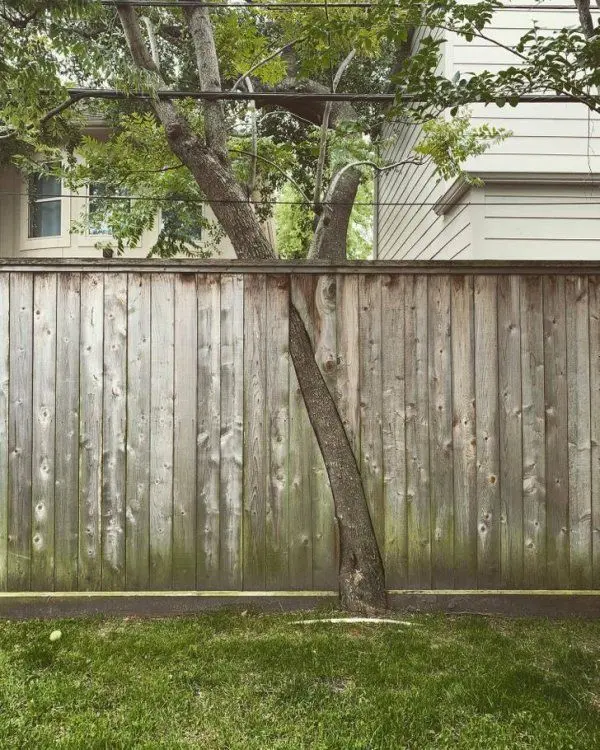 Не верь глазам своим: 17 визуальных ловушек, которые сломают шаблон оптические иллюзии, обман зрения, головоломки, фото, визуальные трюки, мозг, реальность