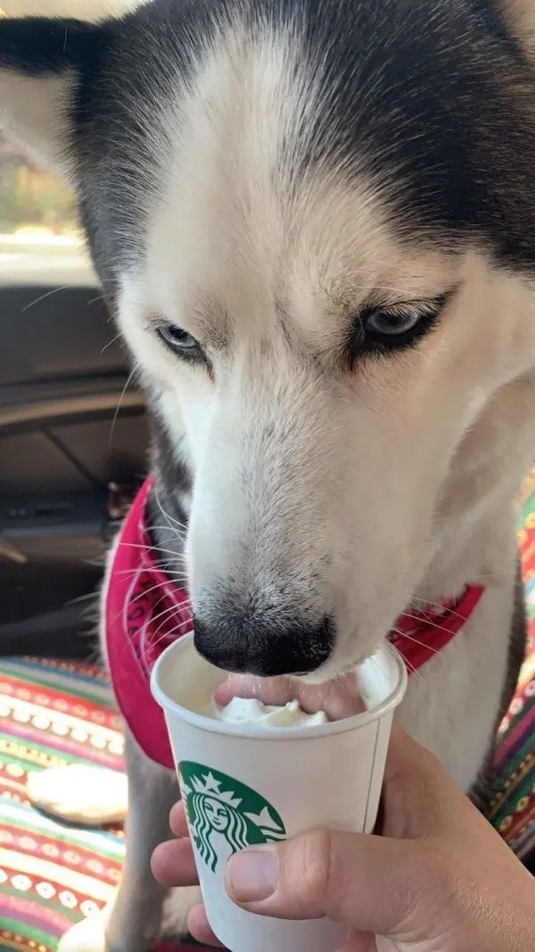 Не верь глазам своим: 17 визуальных ловушек, которые сломают шаблон оптические иллюзии, обман зрения, головоломки, фото, визуальные трюки, мозг, реальность