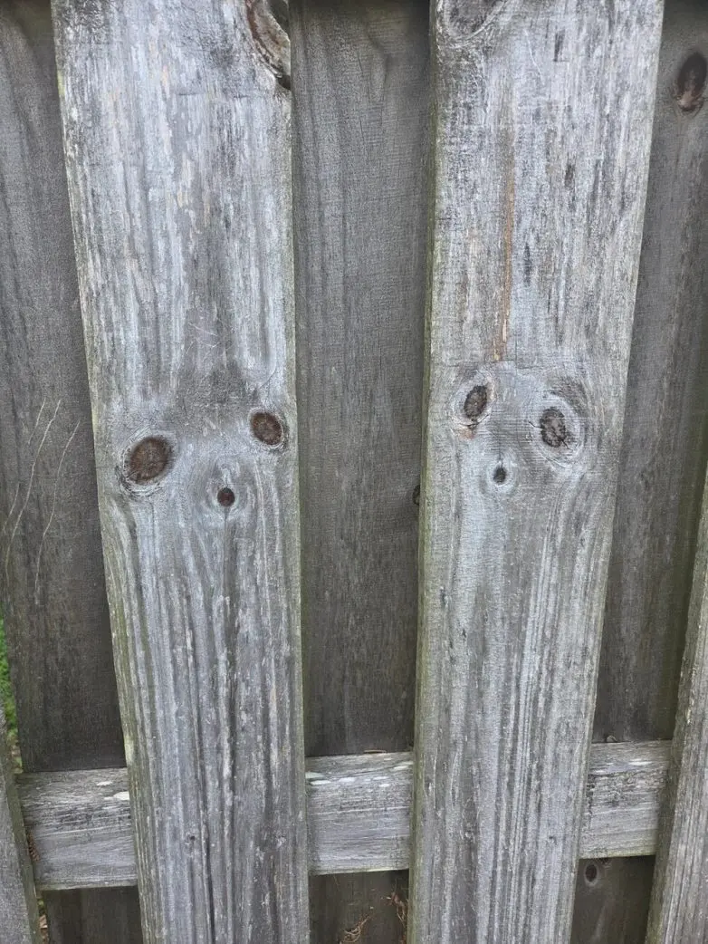 30 фото, после которых вы начнете подозревать каждую розетку в наличии души парейдолия, лица, предметы, фото, приколы, подборка, удивительное рядом