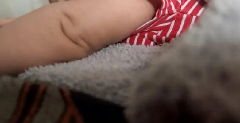 30 фото, после которых вы начнете подозревать каждую розетку в наличии души парейдолия, лица, предметы, фото, приколы, подборка, удивительное рядом