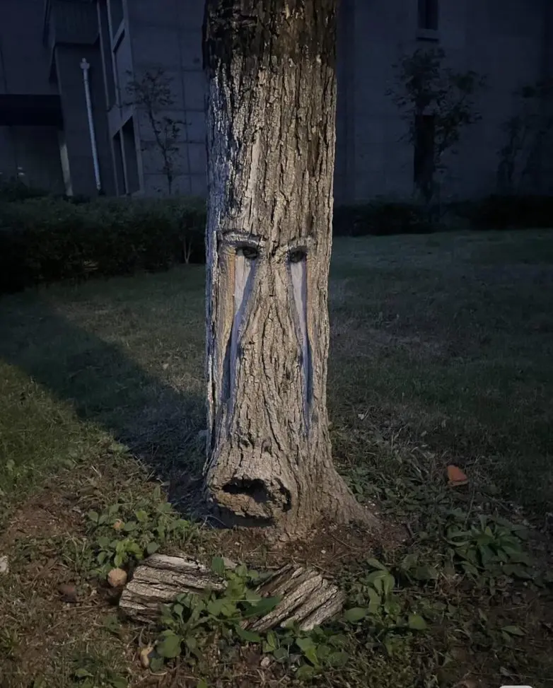 30 фото, после которых вы начнете подозревать каждую розетку в наличии души парейдолия, лица, предметы, фото, приколы, подборка, удивительное рядом