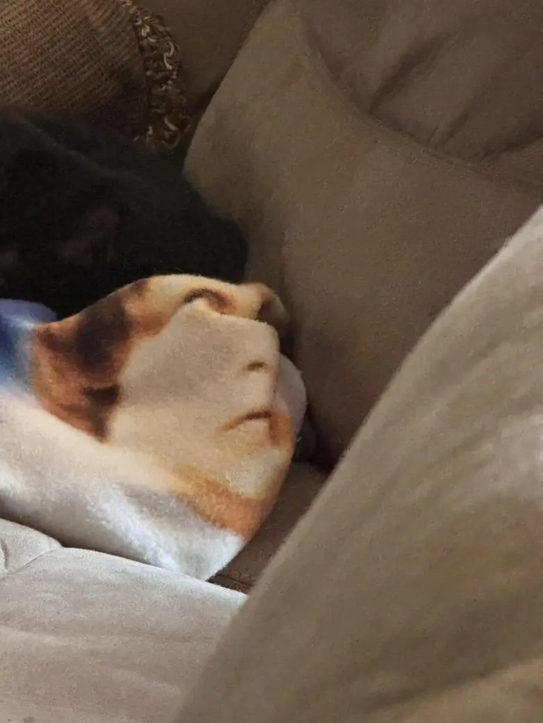 30 фото, после которых вы начнете подозревать каждую розетку в наличии души парейдолия, лица, предметы, фото, приколы, подборка, удивительное рядом