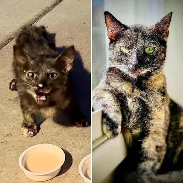 20+ кадров, которые заставят вас пересмотреть всё, что вы знали сравнения, до и после, фото, трансформация, удивительно, реальность, подборка