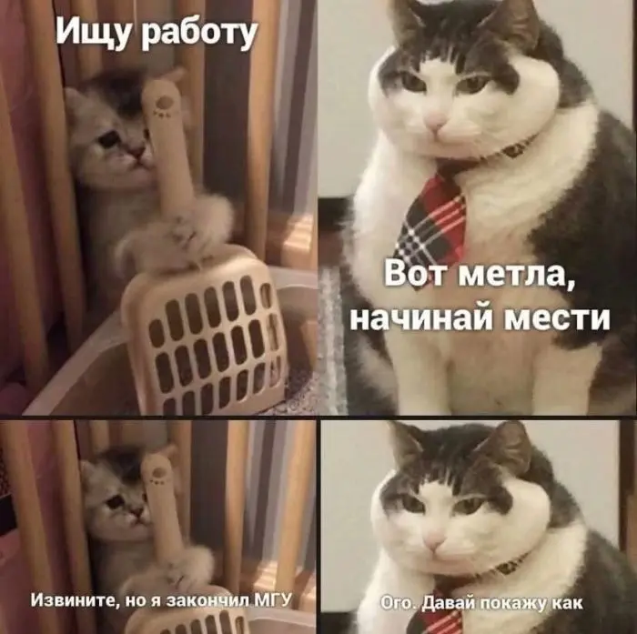 Свежая порция мемов и комментариев: смех без правил мемы, юмор, приколы, подборка, позитив, настроение, комментарии, смешные картинки, отвлечься, расслабиться