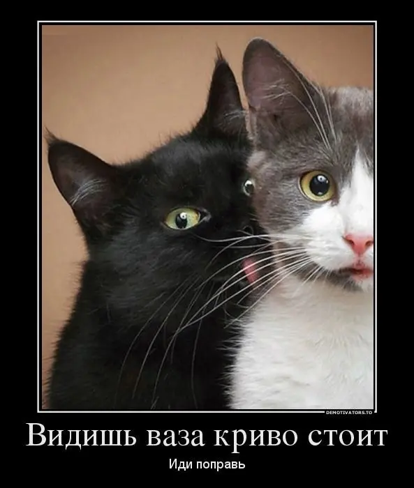 Свежая порция мемов и комментариев: смех без правил мемы, юмор, приколы, подборка, позитив, настроение, комментарии, смешные картинки, отвлечься, расслабиться