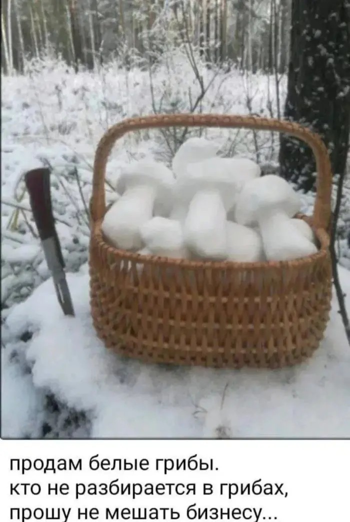 Свежая порция мемов и комментариев: смех без правил мемы, юмор, приколы, подборка, позитив, настроение, комментарии, смешные картинки, отвлечься, расслабиться