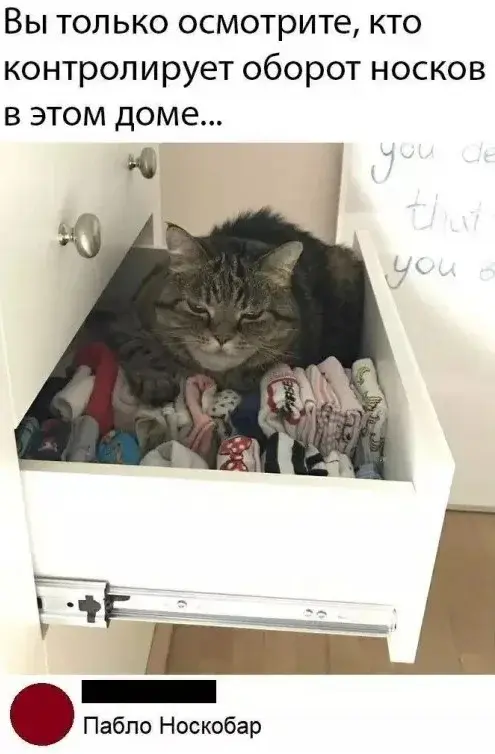 Свежая порция мемов и комментариев: смех без правил мемы, юмор, приколы, подборка, позитив, настроение, комментарии, смешные картинки, отвлечься, расслабиться