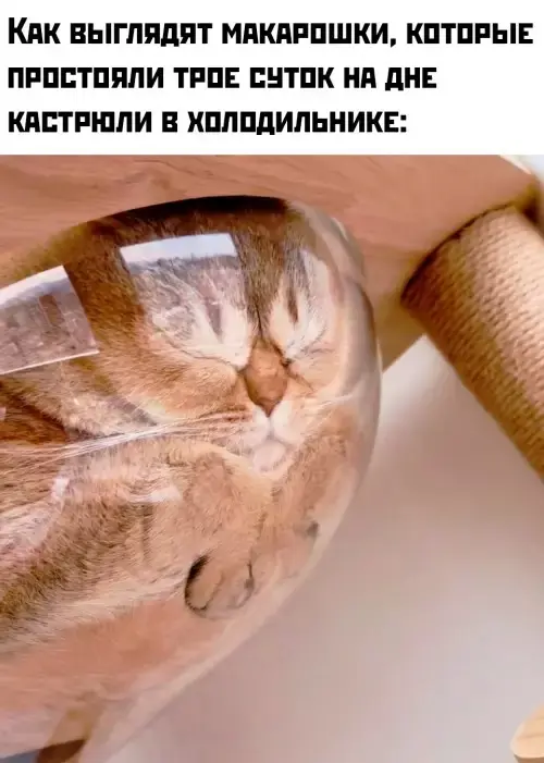 Сборник мемов: когда нужно срочно поднять настроение мемы, смешные картинки, приколы, юмор, подборка, настроение, позитив