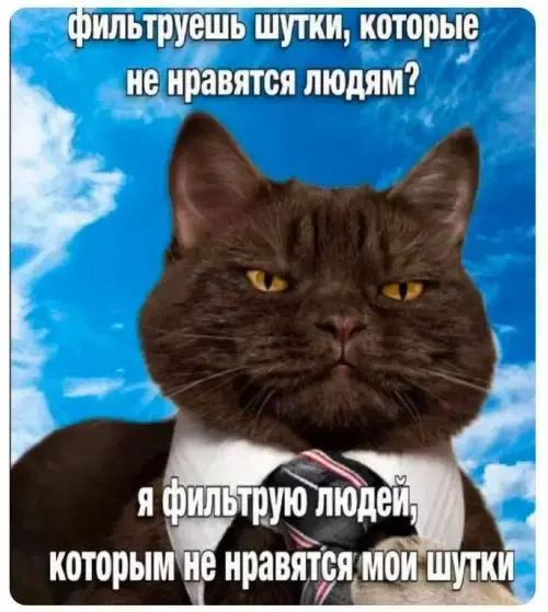 Сборник мемов: когда нужно срочно поднять настроение мемы, смешные картинки, приколы, юмор, подборка, настроение, позитив