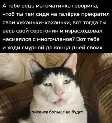 Сборник мемов: когда нужно срочно поднять настроение мемы, смешные картинки, приколы, юмор, подборка, настроение, позитив