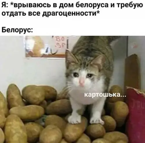 Сборник мемов: когда нужно срочно поднять настроение мемы, смешные картинки, приколы, юмор, подборка, настроение, позитив
