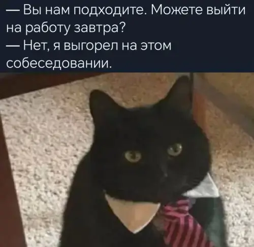 Сборник мемов: когда нужно срочно поднять настроение мемы, смешные картинки, приколы, юмор, подборка, настроение, позитив