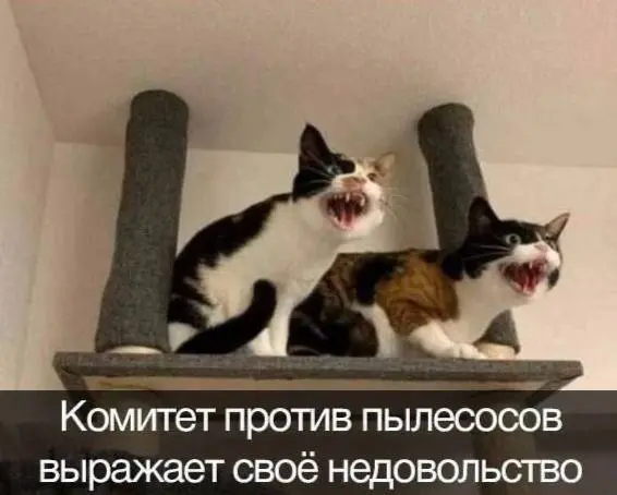 Сборник мемов: когда нужно срочно поднять настроение мемы, смешные картинки, приколы, юмор, подборка, настроение, позитив