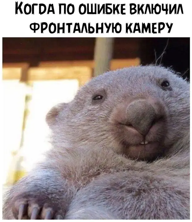 8 коротких историй, которые поднимут настроение юмор, анекдоты, короткие истории, приколы, смешные случаи, подборка