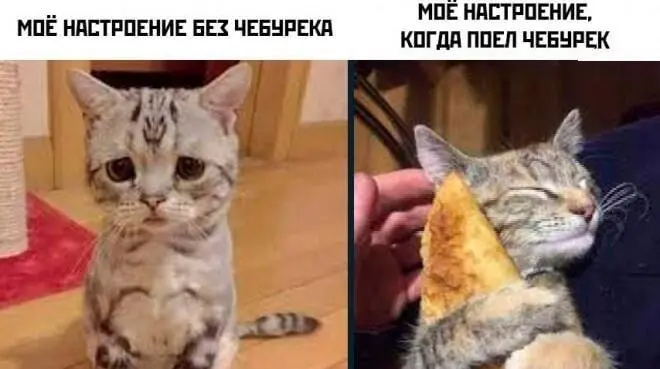 Самый сок: угарные мемы и картинки про чебуреки