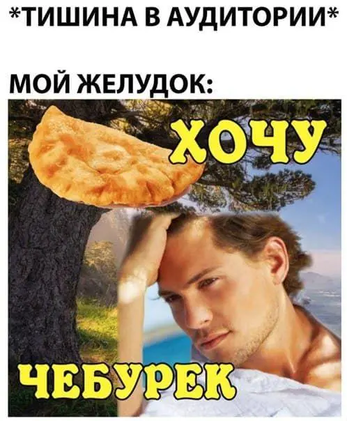 Самый сок: угарные мемы и картинки про чебуреки чебурек, мемы, приколы, картинки, еда, день чебурека, смешное