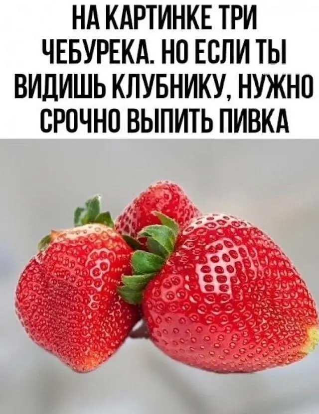 Самый сок: угарные мемы и картинки про чебуреки чебурек, мемы, приколы, картинки, еда, день чебурека, смешное