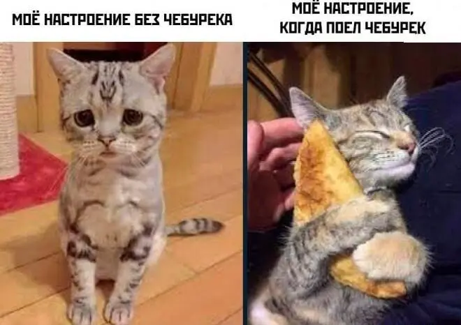 Самый сок: угарные мемы и картинки про чебуреки чебурек, мемы, приколы, картинки, еда, день чебурека, смешное