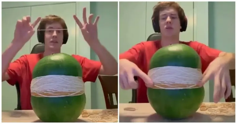 Эксперимент: сколько резинок нужно, чтобы разорвать арбуз? арбуз, резинки, эксперимент, взрыв, видео