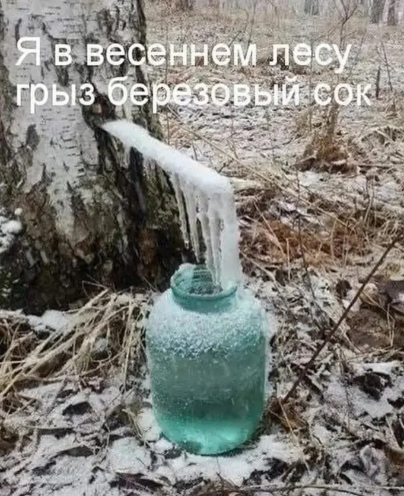 Зима не сдается: убойные мемы про апрельский снегопад в Москве снег, апрель, мемы, москвичи, приколы, зима, весна, юмор