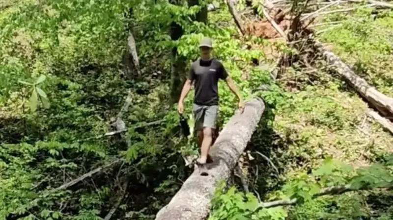 Не удержался: эпичное падение с бревна на глазах у друзей прикол, видео, падение, друзья, испытание, неудача, смешное видео