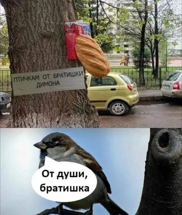 Ура, пятница! 40+ мемов, которые спасут твое утро пятница, мемы, приколы, юмор, картинки, настроение, выходные