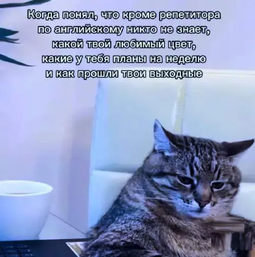 Ура, пятница! 40+ мемов, которые спасут твое утро пятница, мемы, приколы, юмор, картинки, настроение, выходные