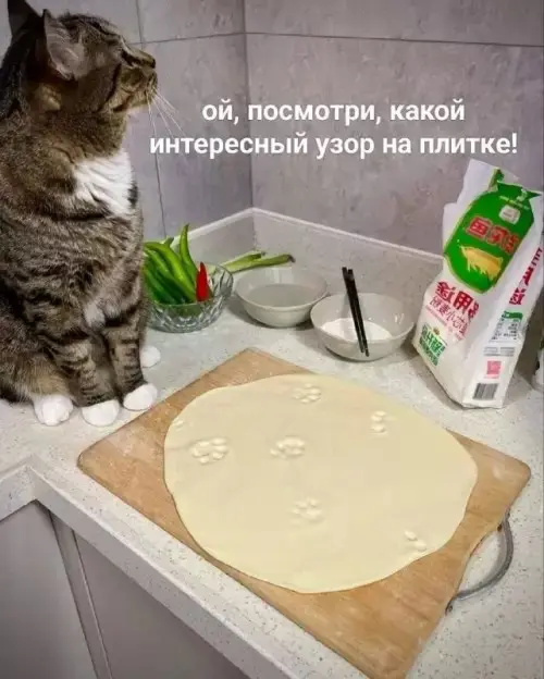 Ура, пятница! 40+ мемов, которые спасут твое утро пятница, мемы, приколы, юмор, картинки, настроение, выходные