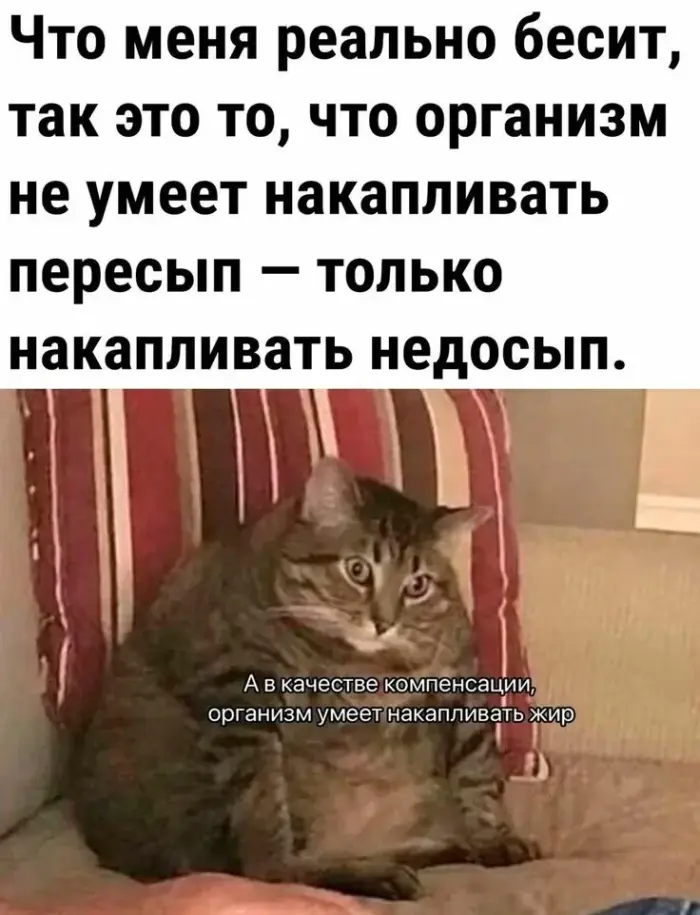 Ура, пятница! 40+ мемов, которые спасут твое утро пятница, мемы, приколы, юмор, картинки, настроение, выходные