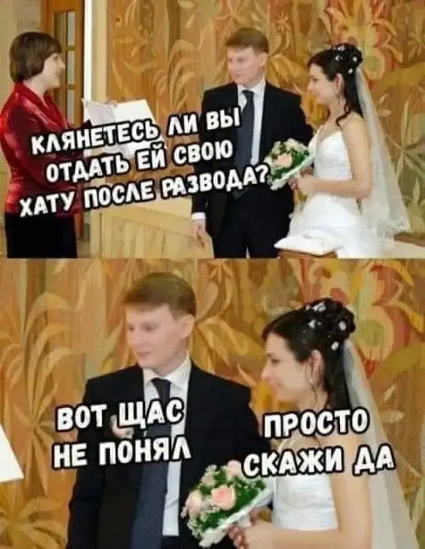 Когда судья сказал «ласково», а Дед Мороз подрался — сборник угарных историй юмор, анекдоты, приколы, смешные истории, новый год, гаишник, коты, отношения