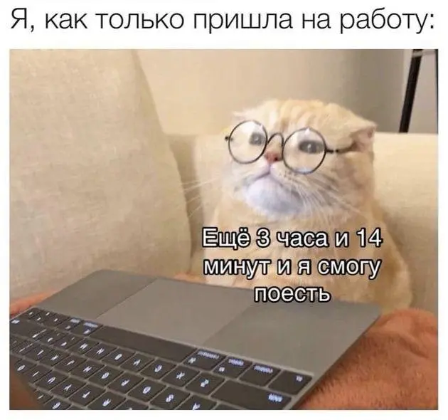 Ржачные мемы и фото про работу: 30+ картинок, чтобы забыть о тоске мемы, работа, приколы, картинки, юмор, майские, труд, подборка