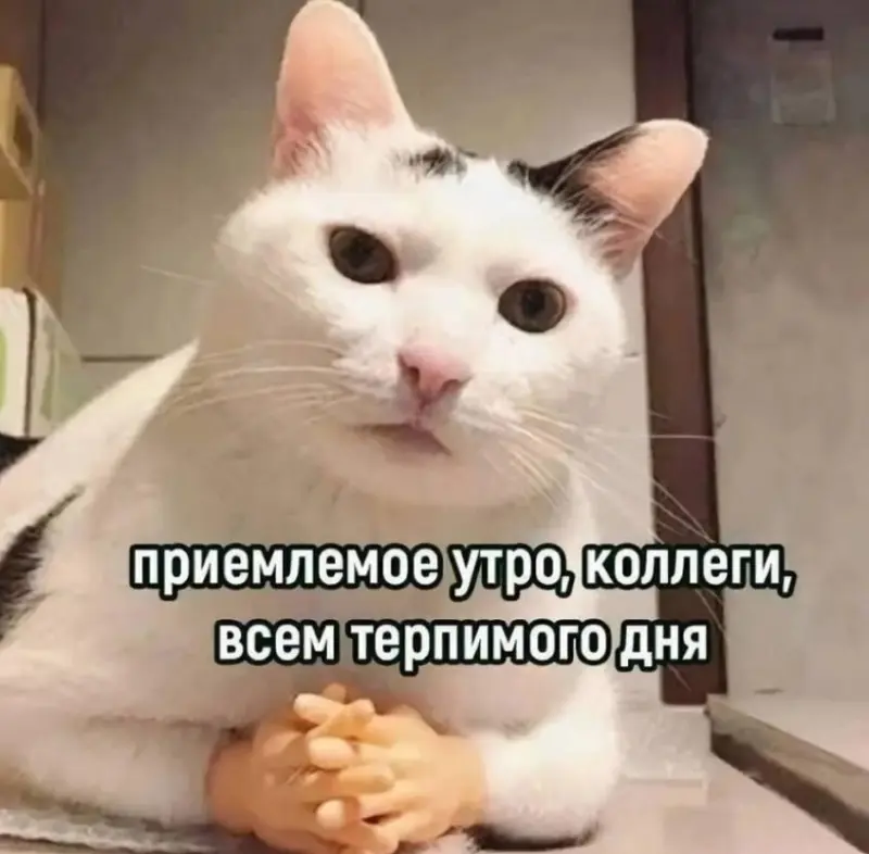 Ржачные мемы и фото про работу: 30+ картинок, чтобы забыть о тоске мемы, работа, приколы, картинки, юмор, майские, труд, подборка