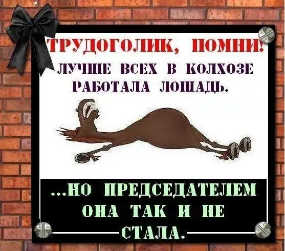 Ржачные мемы и фото про работу: 30+ картинок, чтобы забыть о тоске мемы, работа, приколы, картинки, юмор, майские, труд, подборка