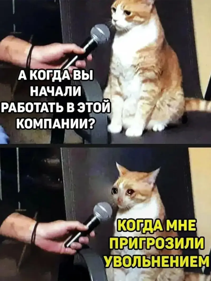 Ржачные мемы и фото про работу: 30+ картинок, чтобы забыть о тоске мемы, работа, приколы, картинки, юмор, майские, труд, подборка