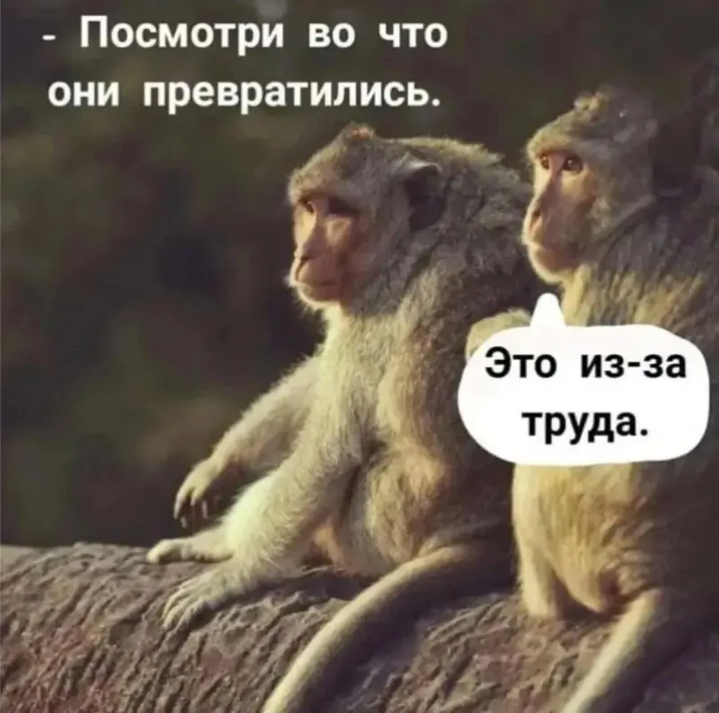 Ржачные мемы и фото про работу: 30+ картинок, чтобы забыть о тоске мемы, работа, приколы, картинки, юмор, майские, труд, подборка