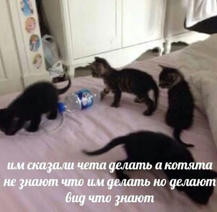 Ржачные мемы и фото про работу: 30+ картинок, чтобы забыть о тоске мемы, работа, приколы, картинки, юмор, майские, труд, подборка