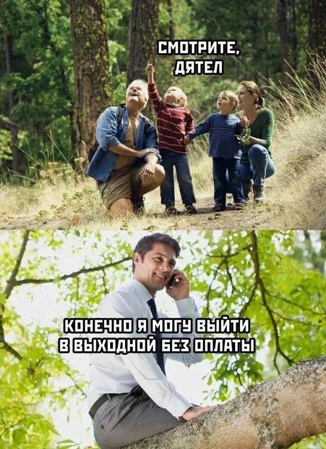 Ржачные мемы и фото про работу: 30+ картинок, чтобы забыть о тоске мемы, работа, приколы, картинки, юмор, майские, труд, подборка