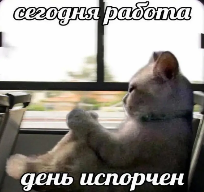 Ржачные мемы и фото про работу: 30+ картинок, чтобы забыть о тоске мемы, работа, приколы, картинки, юмор, майские, труд, подборка