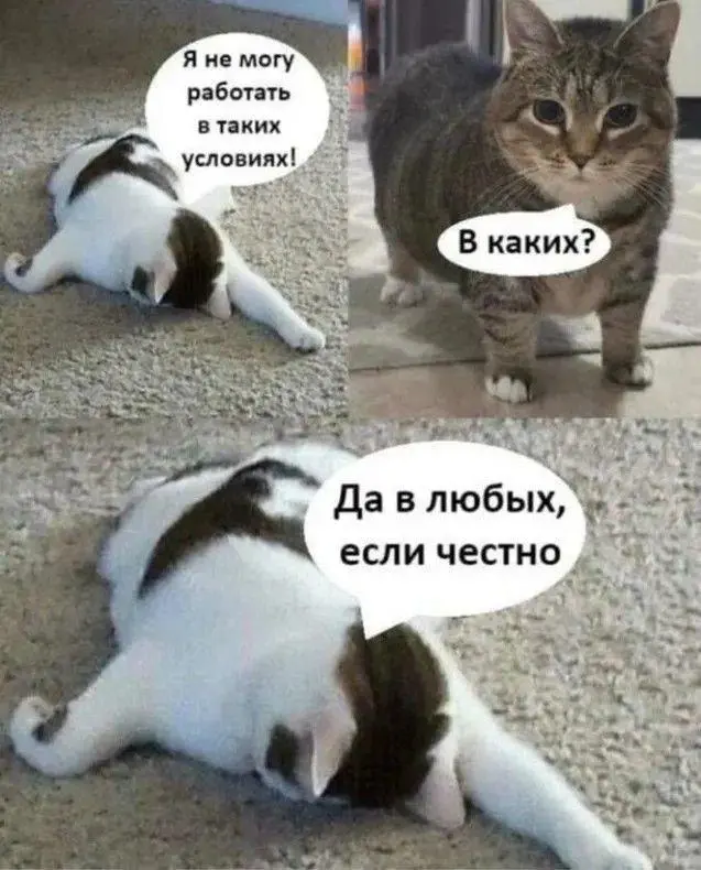 Ржачные мемы и фото про работу: 30+ картинок, чтобы забыть о тоске мемы, работа, приколы, картинки, юмор, майские, труд, подборка