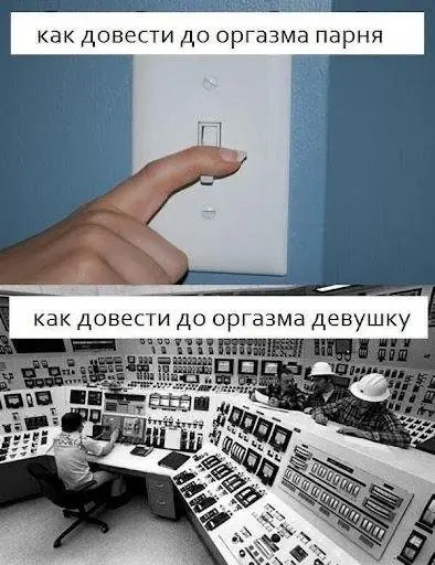 Собачья жизнь: Уморительные моменты с хвостатыми друзьями собаки, мемы, приколы, животные, смешное, подборка