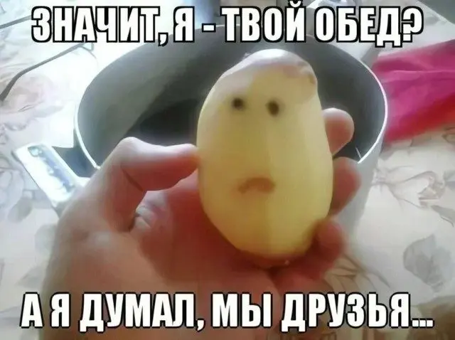 Хохочи до упаду: 15 мемов для поднятия настроения мемы, приколы, юмор, подборка, смешные картинки, позитив