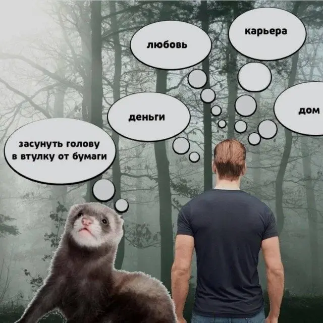 Хохочи до упаду: 15 мемов для поднятия настроения мемы, приколы, юмор, подборка, смешные картинки, позитив