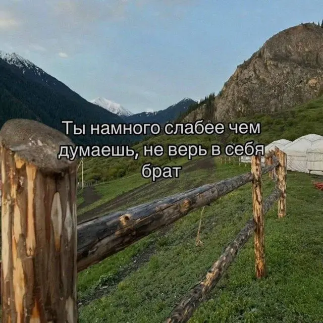 Хохочи до упаду: 15 мемов для поднятия настроения мемы, приколы, юмор, подборка, смешные картинки, позитив