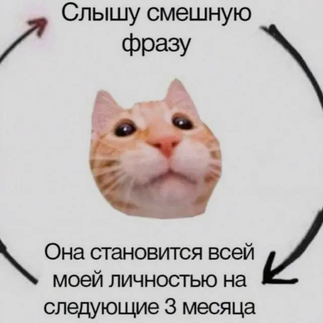 Хохочи до упаду: 15 мемов для поднятия настроения мемы, приколы, юмор, подборка, смешные картинки, позитив