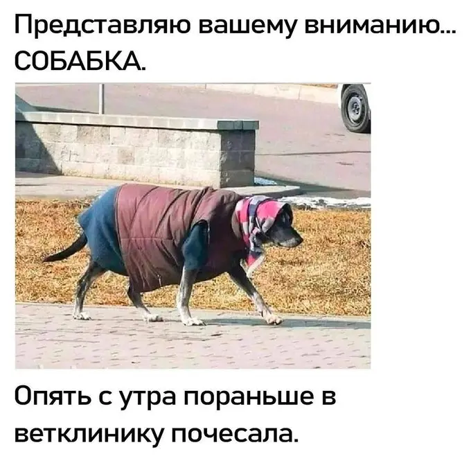 Свежие мемы и приколы: ваш личный антидепрессант на эти выходные мемы, приколы, юмор, картинки, подборка, смешное, настроение, позитив, отвлечься, посмеяться