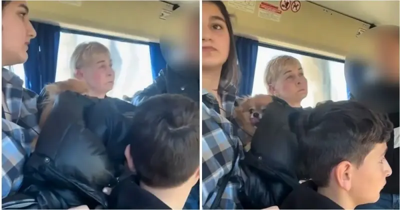 Высадили с щенком: кондуктор устроила цирк в калининградском автобусе